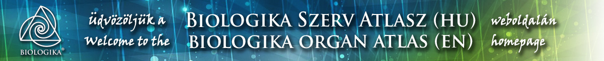 Biologika Szerv Atlasz Webshop